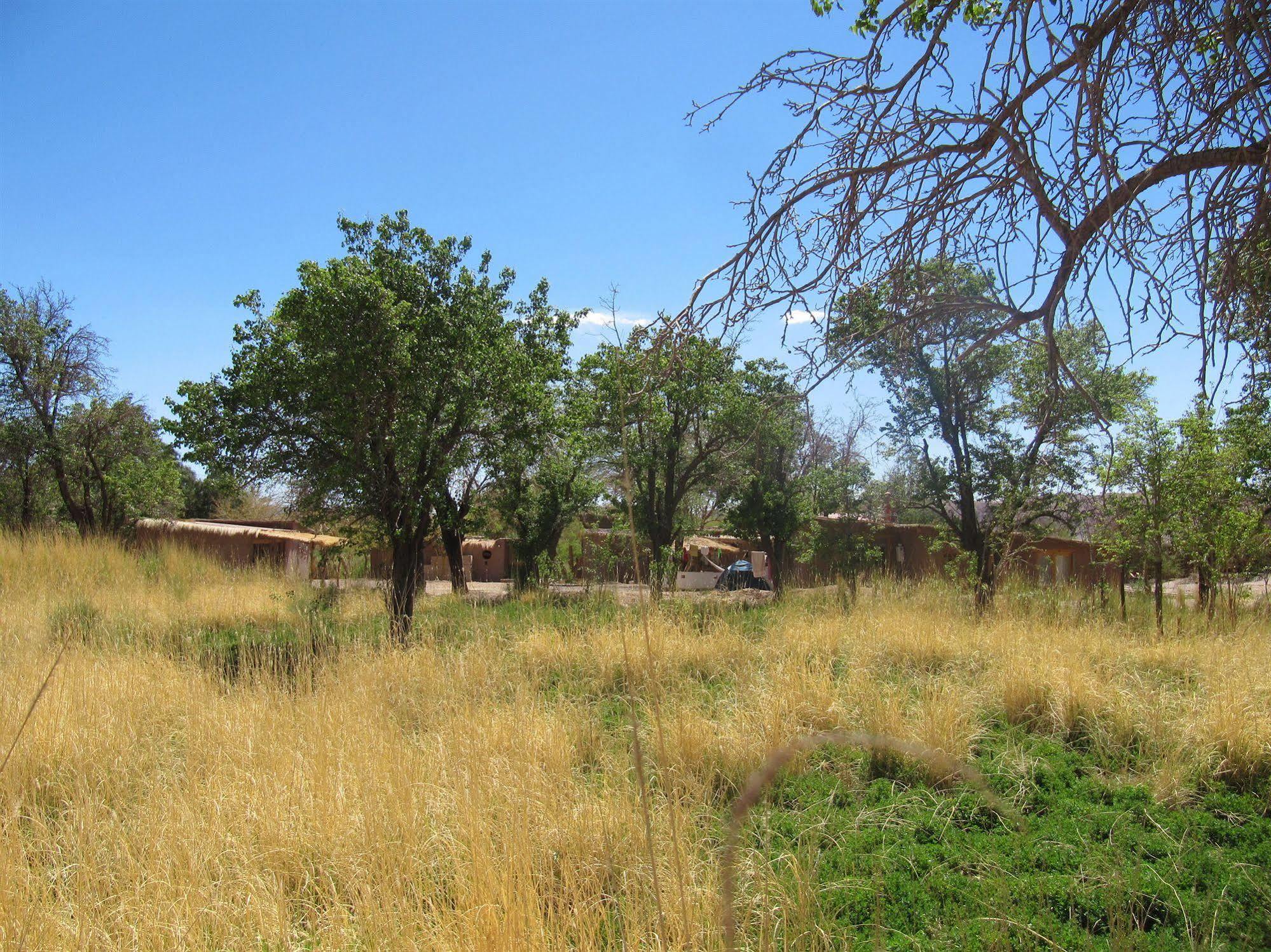 Rancho Quitapenas Bungalows San Pedro de Atacama Exteriör bild