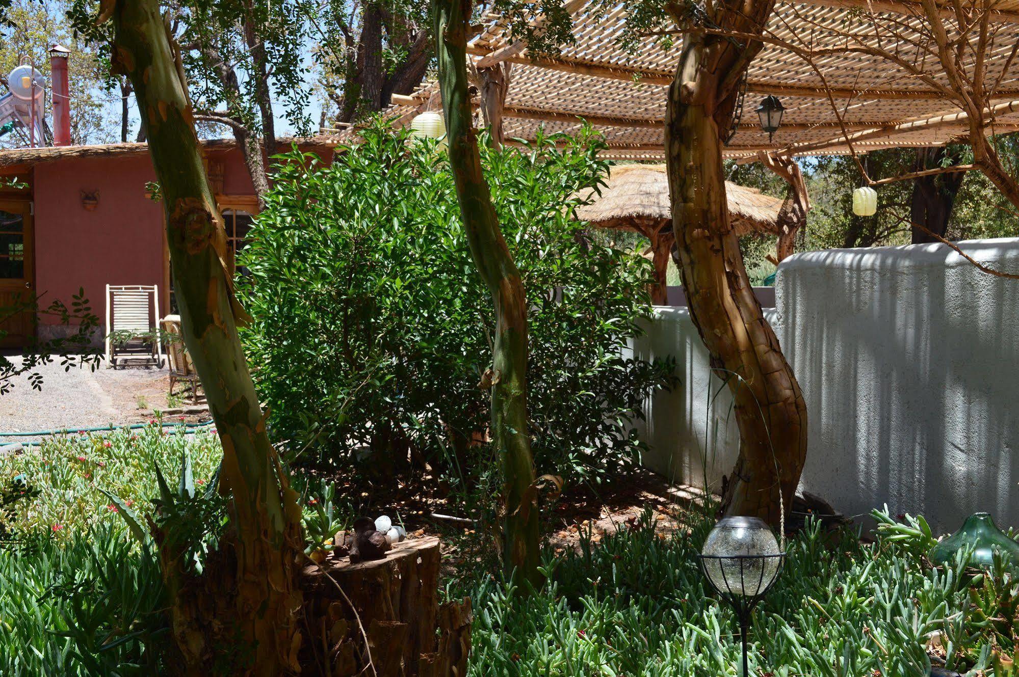 Rancho Quitapenas Bungalows San Pedro de Atacama Exteriör bild