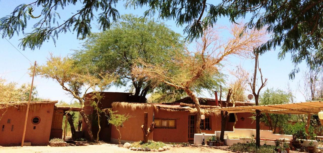 Rancho Quitapenas Bungalows San Pedro de Atacama Rum bild